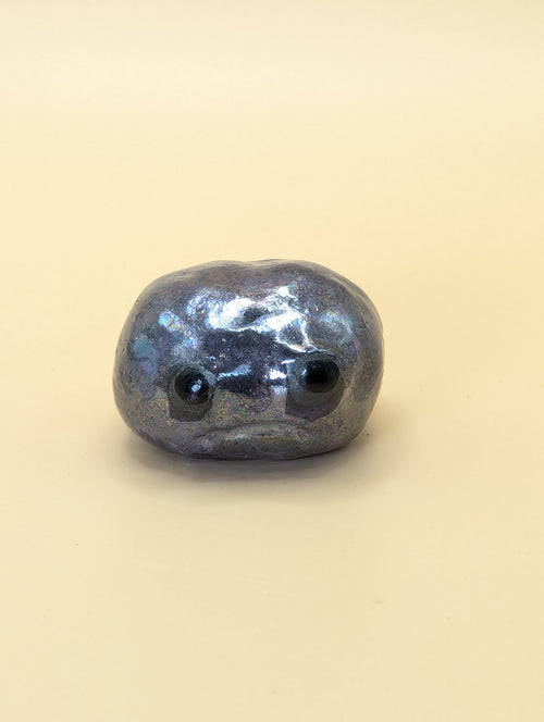 Alan (the African Rain Frog)