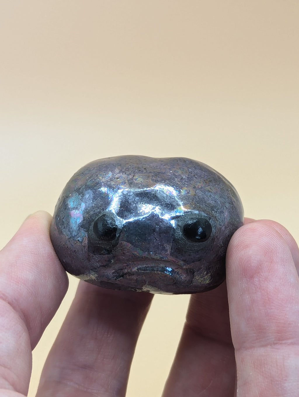 Alan (the African Rain Frog)
